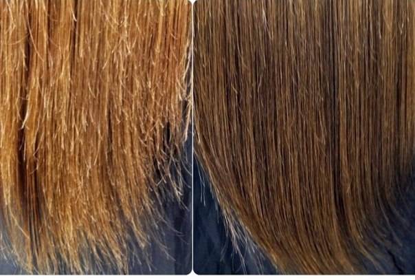Волосы секутся по всей длине: почему и что делать? - voloslekar.ru
