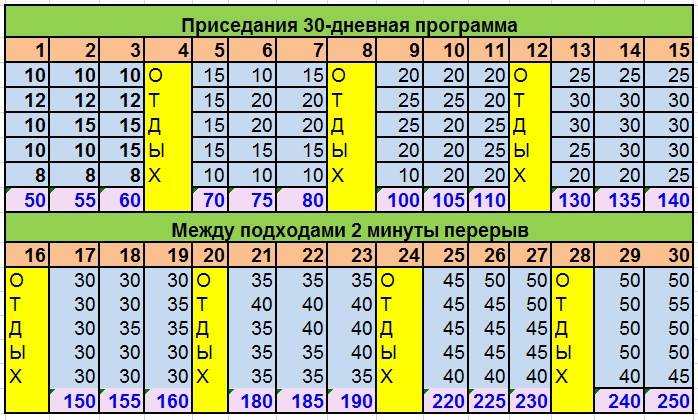 Схема приседаний для мужчин в домашних условиях