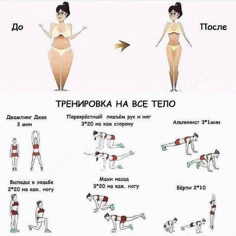 Программа тренировок в зале для похудения девушкам