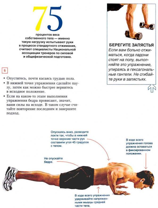 Отжимания от пола ☑польза, виды, с чего начать тренировку и сколько раз повторять