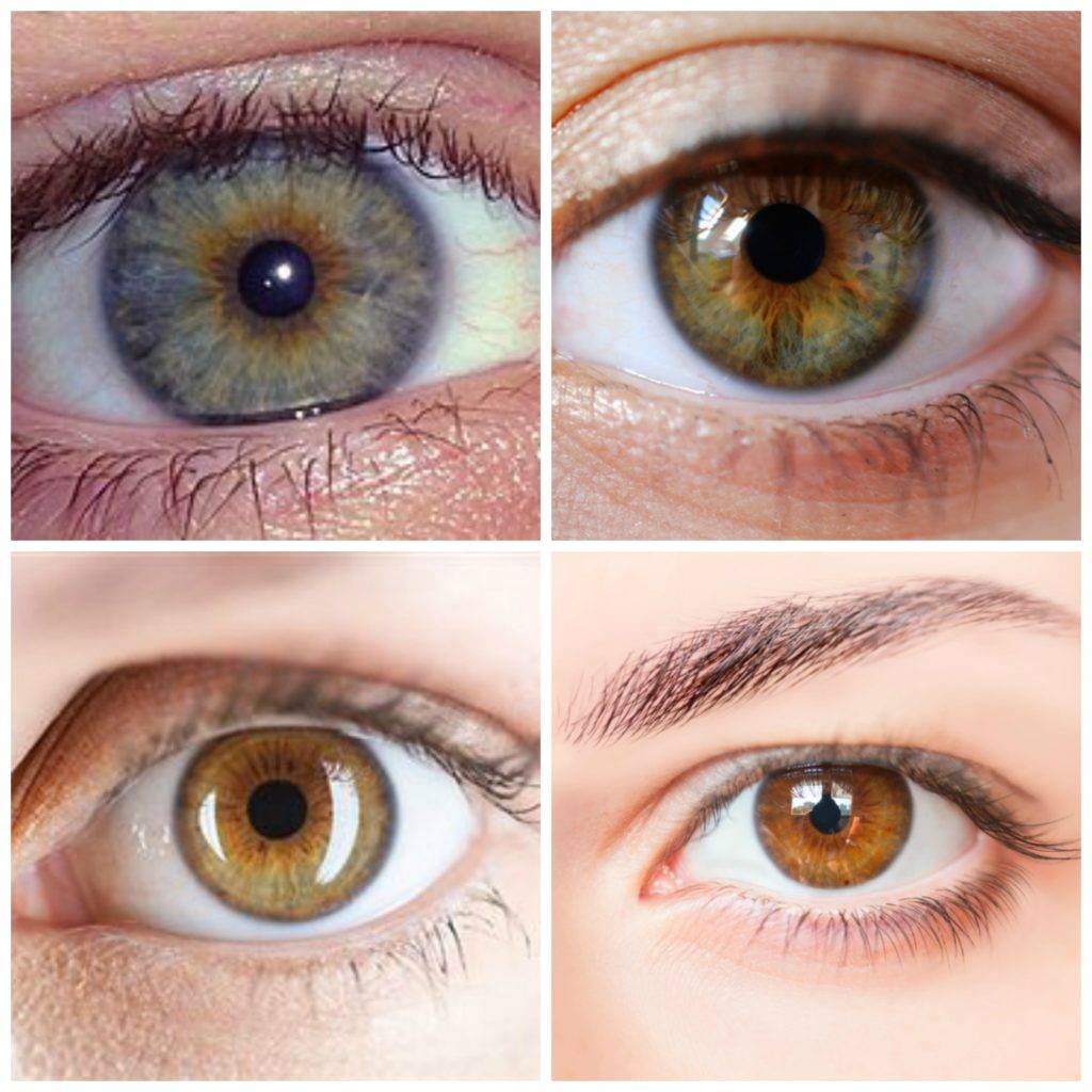 Hazel цвет глаз