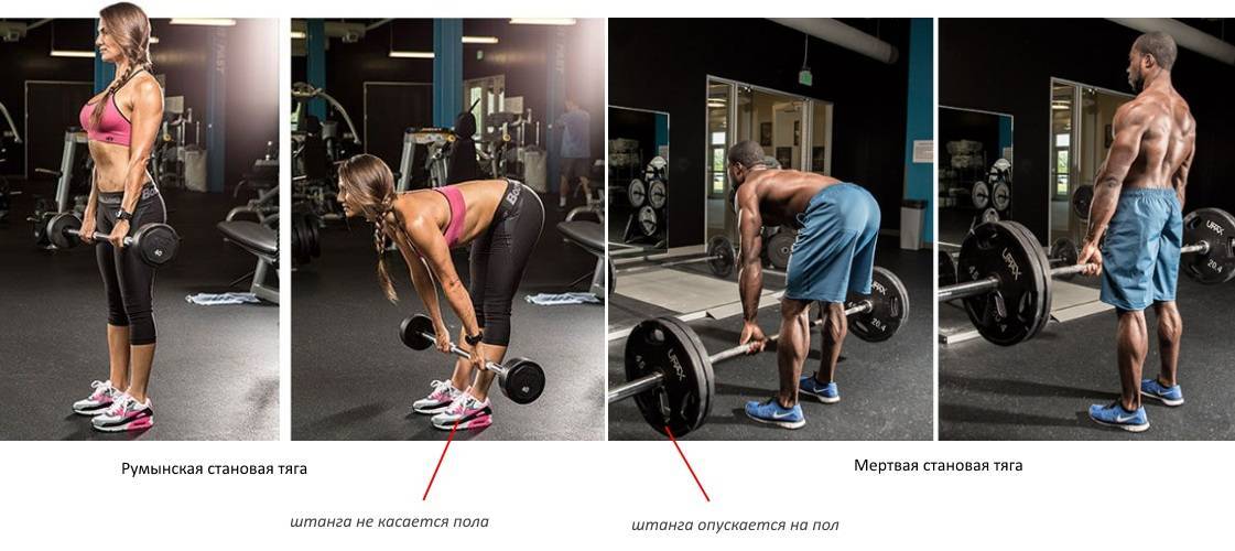 Румынская становая тяга со штангой — техника и польза