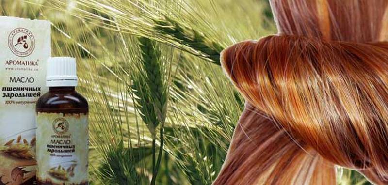 Масло зародышей пшеницы для волос: свойства, рецепты и применение