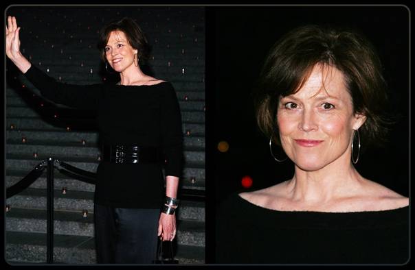 Пластические операции дениз ричардс: фото и факты