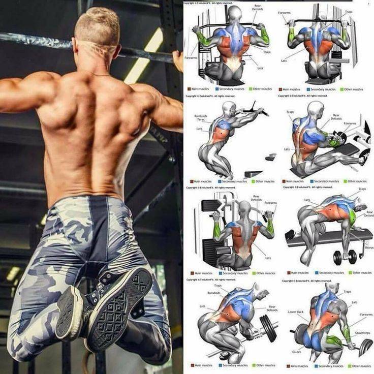 Как накачать спину и плечи: лучший комплекс упражнений