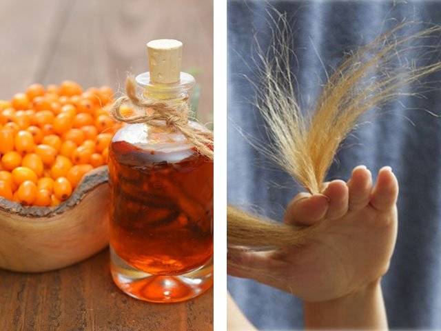 Облепиховое масло для волос и ресниц. польза, лечебные свойства, рецепты применения в косметологии