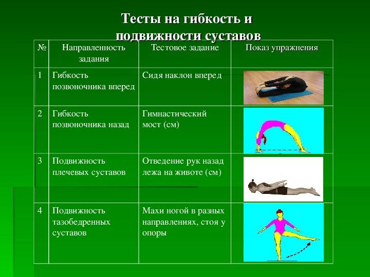 Развивающая гимнастика виды. Комплекс упражнений для развития гибкости и подвижности суставов. Комплекс упражнений для развития гибкости таблица. Контрольные упражнения для оценки гибкости. Упражнения развивающие гибкость.
