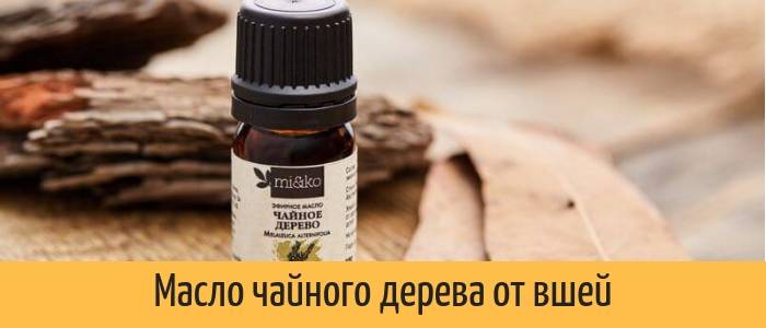 Масло чайного дерева от вшей и гнид: полезные свойства и применение