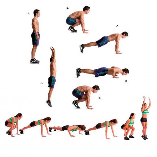 Эффективные упражнения для круговой тренировки