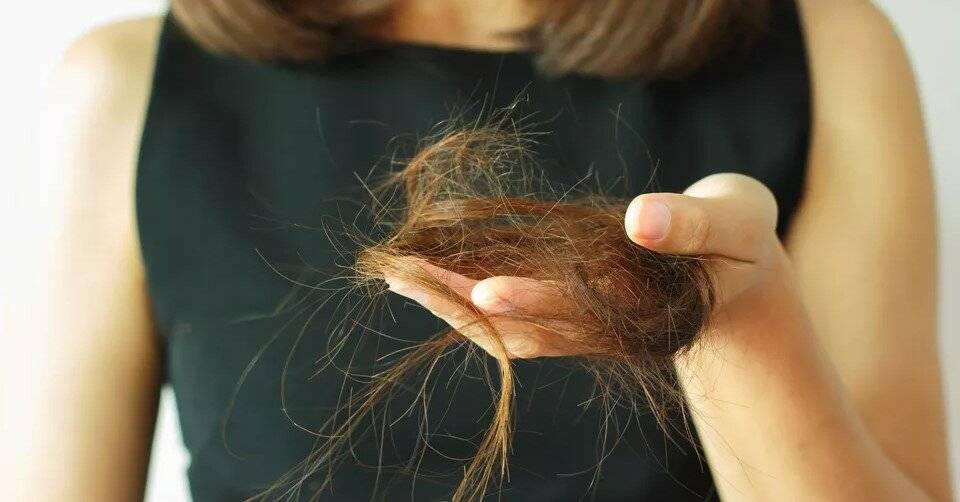 Почему зимой волосы выпадают сильнее и что делать? | волосок