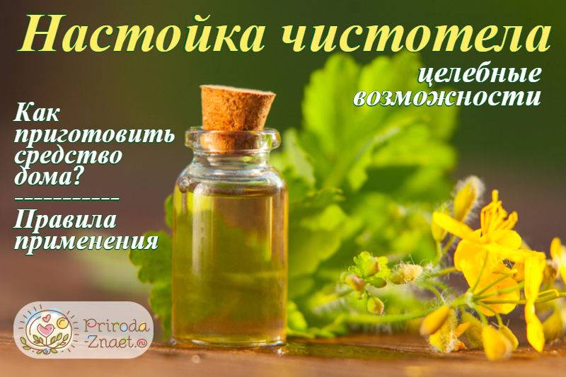 Чистотел: состав, лечебные свойства. лечение рака чистотелом. народные рецепты