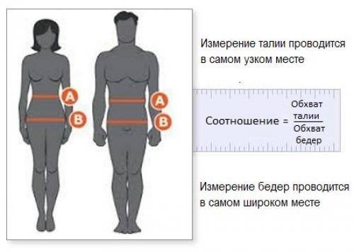 Где талия у мужчин схема