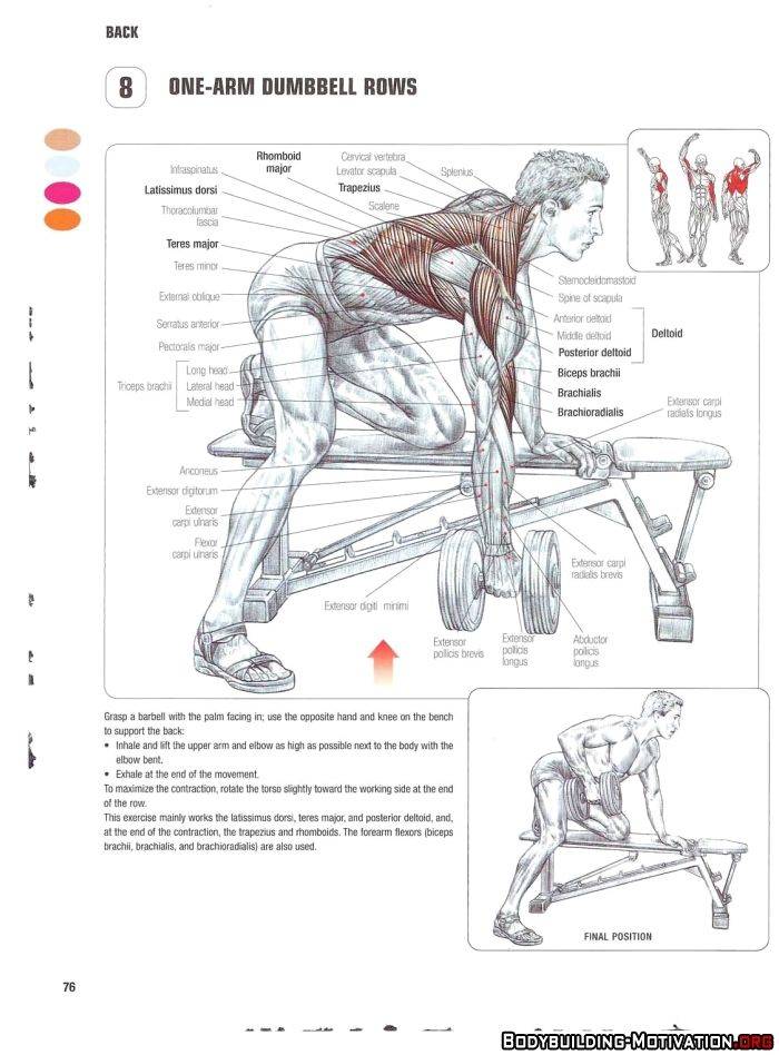 Программа тренировок для девушек в тренажерном зале, 3 варианта
