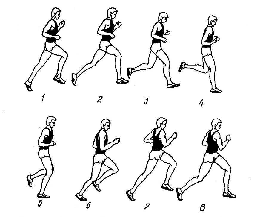 Специальная разминка бегуна включает в себя. Бег на длинные дистанции техника бега. Бег на длинные дистанции техника выполнения. Легкая атлетика бег на длинные дистанции. Техника бега на средние дистанции схема.