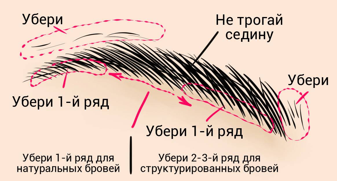 Разметка для бровей схема