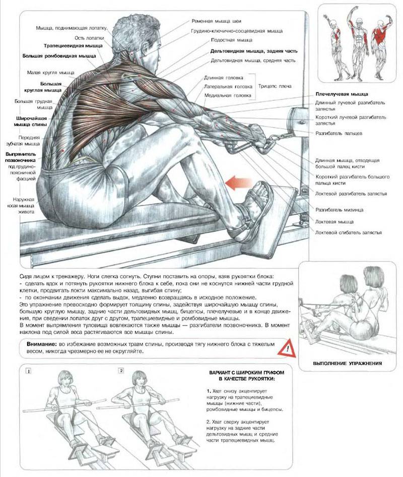 Упражнения на грудные мышцы для тренировок в тренажерном зале