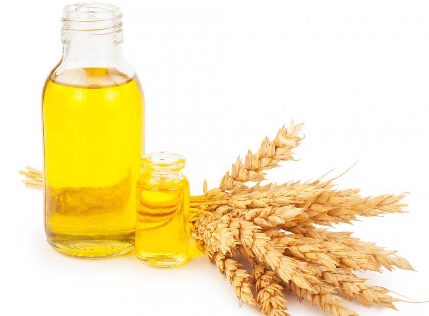 Как использовать масло зародышей пшеницы для волос, применение ростков