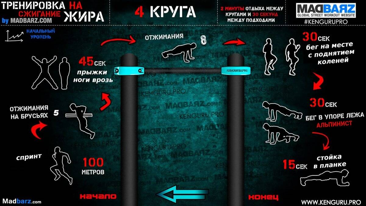 План тренировок для сжигания жира в тренажерном зале