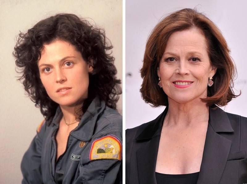 Пластика ксении мерц – операции, фото до и после, интересные факты биографии