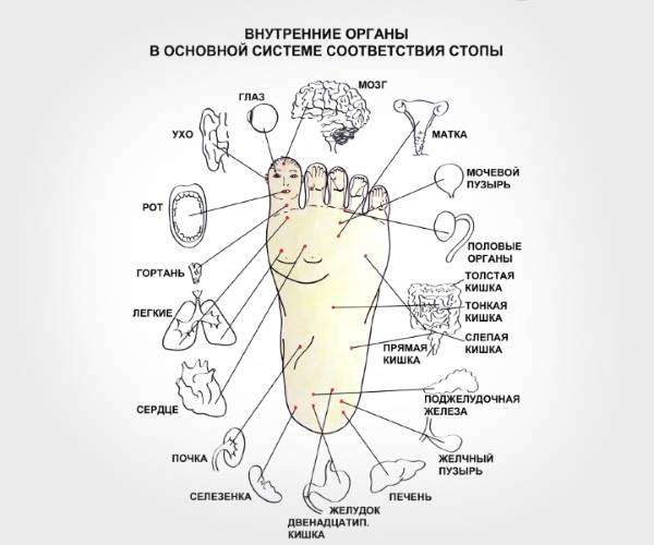 Какие точки на ступне отвечают за органы фото с надписями