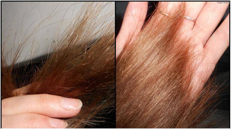 Сухие кончики волос: лечение в домашних условиях