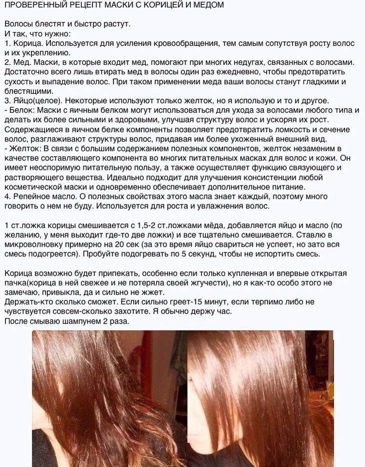Спасение для «проблемных» прядей: правила применения масла жожоба для роста волос