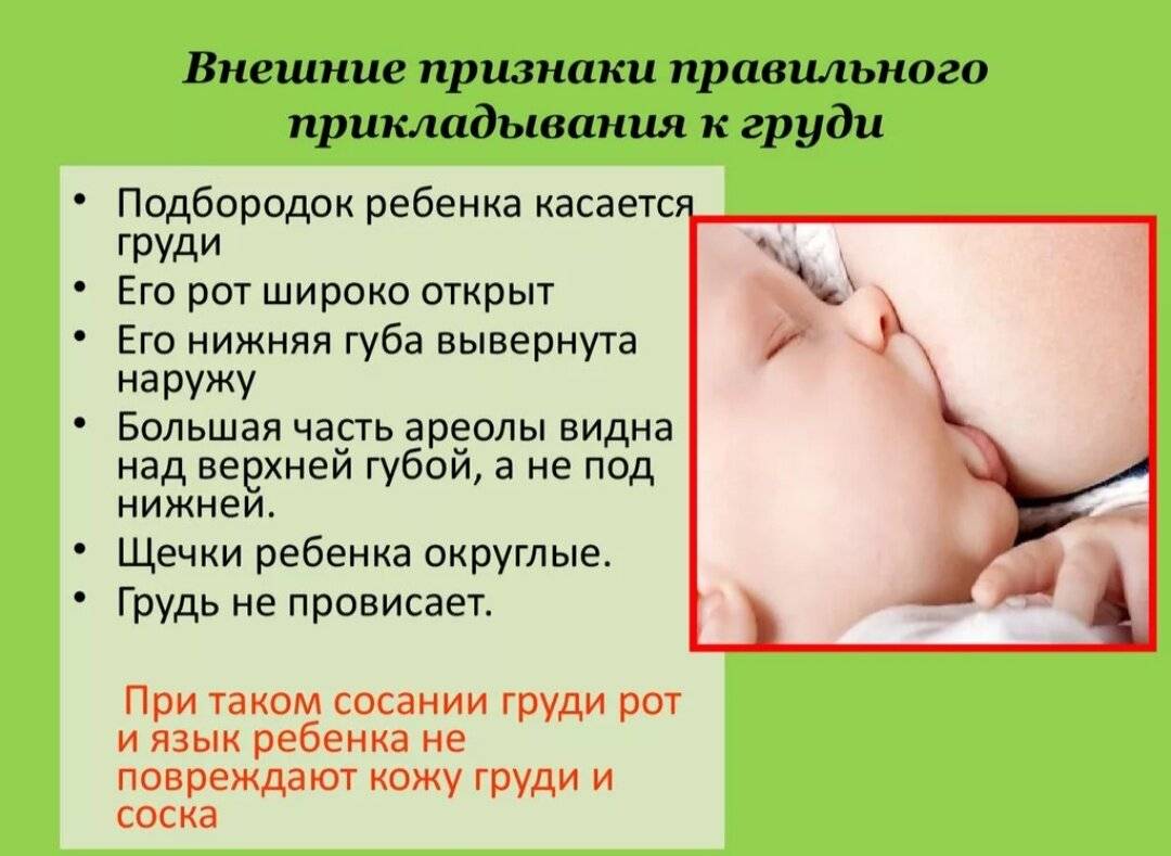 Как кормить новорожденного грудным молоком