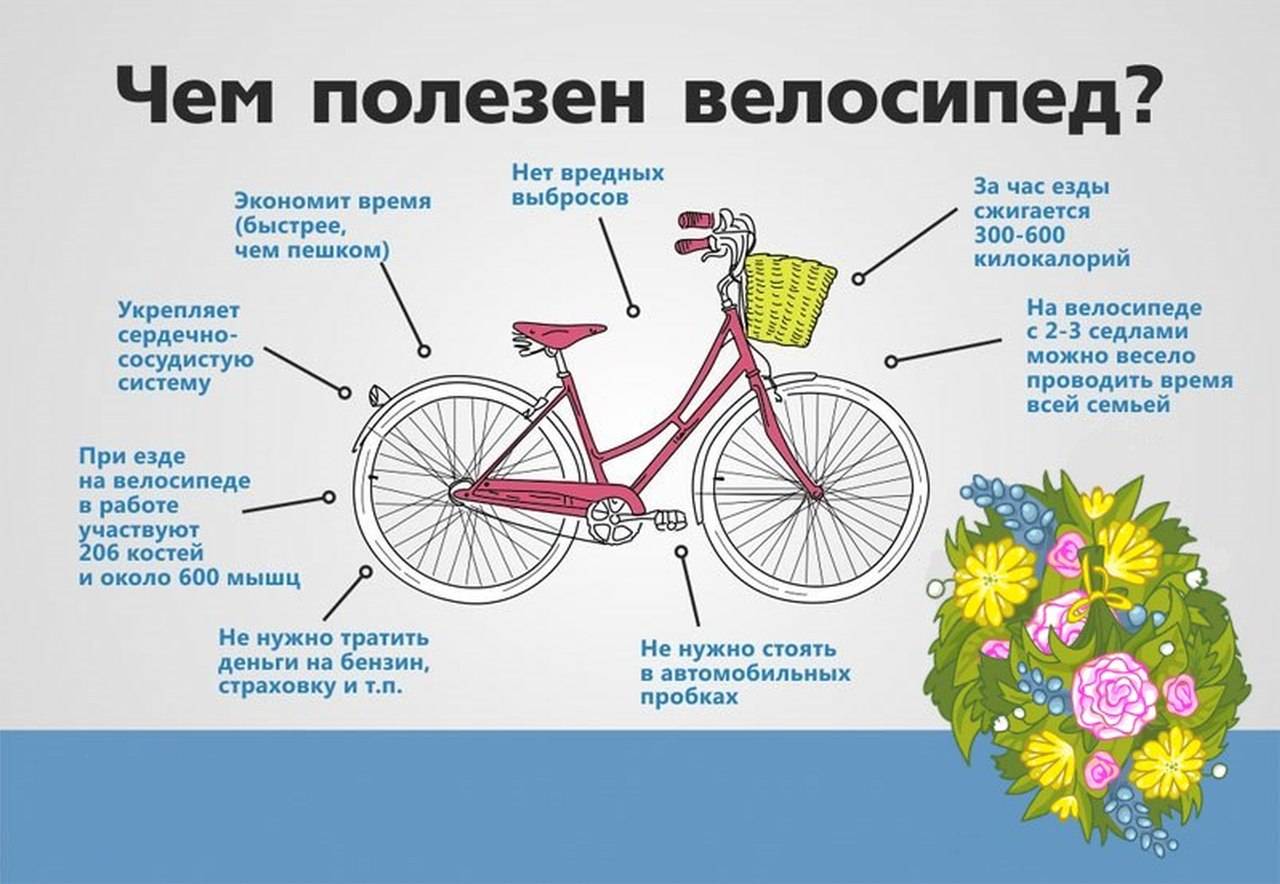 Сколько в день ездить на велосипеде. Велосипед и здоровье. Польза велосипеда. Велосипед полезно для здоровья. Полезность велосипеда.
