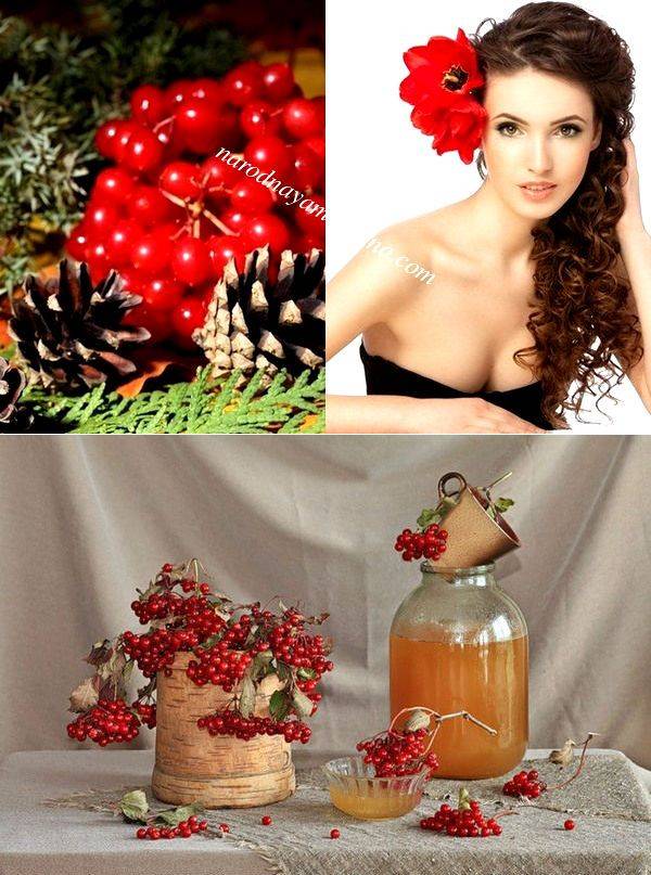 Калины для лица: 10 лучших рецептов домашних масок | maskadoma