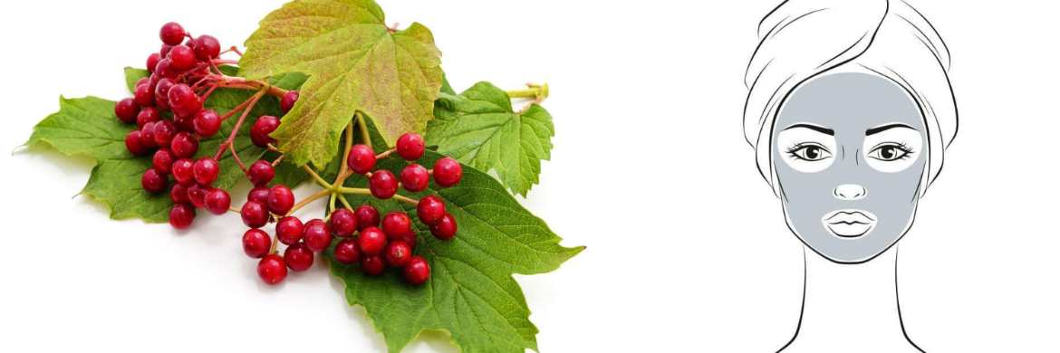 Маска для лица из калины, отзывы