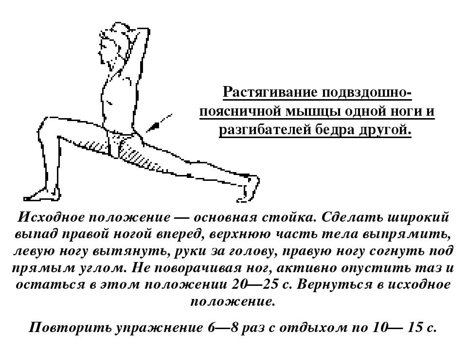 Все о подвздошно-поясничной мышце: эффективные упражнения на укрепления и растяжку - полонсил.ру - социальная сеть здоровья - медиаплатформа миртесен
