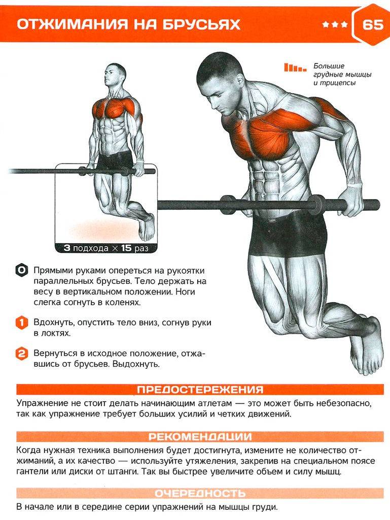 Как научиться подтягиваться с нуля: инструкция + фото