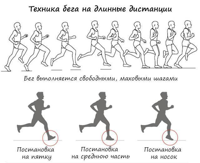 Фартлек программа тренировок для бега схема бега