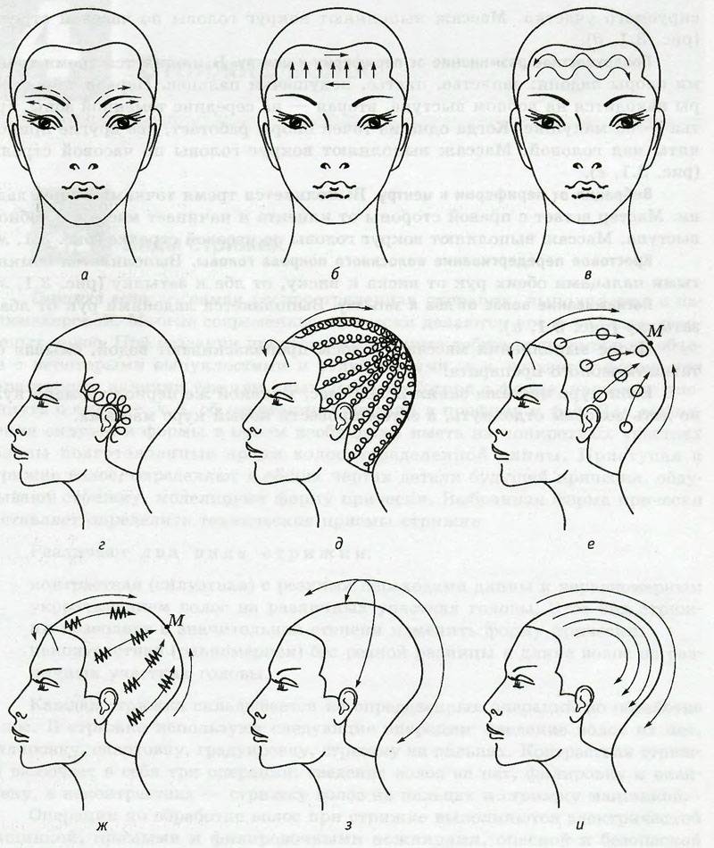 Как делать массаж головы правильно самому себе: схема выполнения по линиям, в том числе на волосистой части, техника и приемы, используемые в домашних условиях