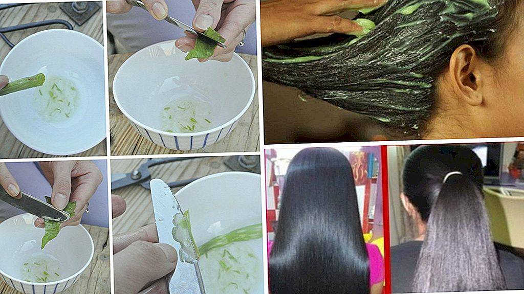Применение алоэ для волос в домашних условиях: рецепты масок из сока от выпадения, для роста и густоты