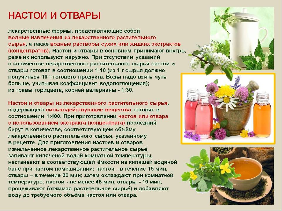Где можно попить чая. Приготовление лекарственных растений. Настои из лекарственных растений. Настой лекарственная форма. Растения для приготовления лекарств.