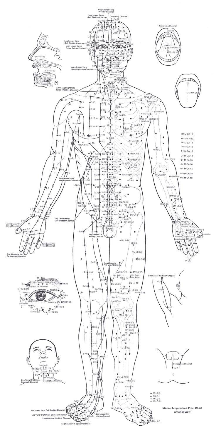Полная схема акупунктурных точек на теле человека