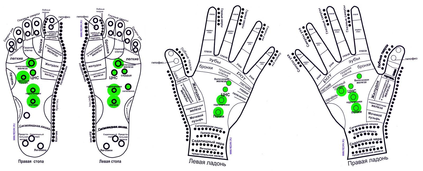 Точки на руках для массажа. Биологически активные точки на ладонях. Рефлексотерапия. Акупунктурные точки на руке человека схема. Биологически активные точки на ладони и стопах. Точки акупунктуры на руке схема.
