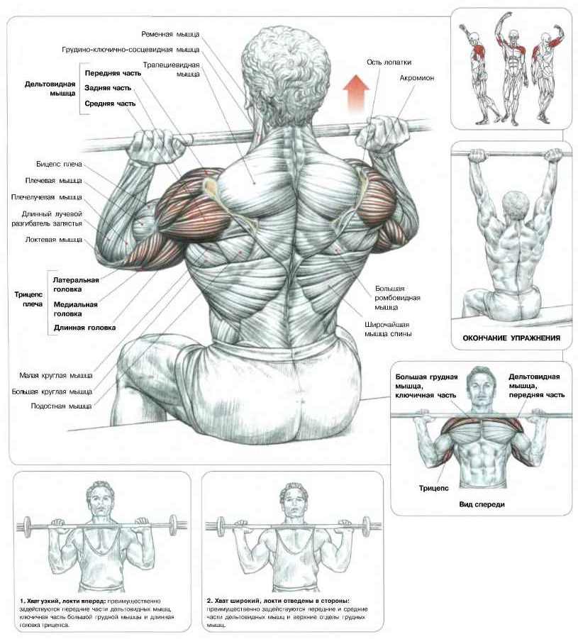 Последние комментарии
