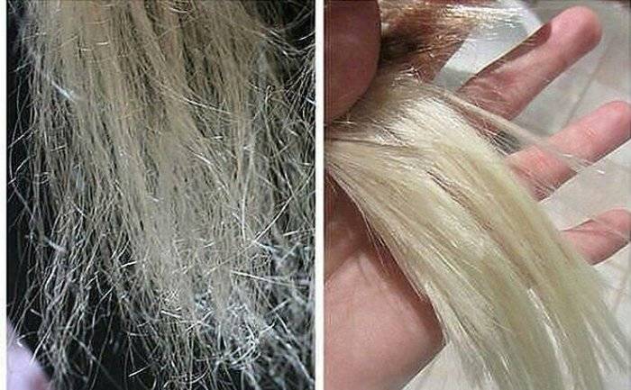 Как восстановить безжизненные волосы в домашних условиях. как лечить безжизненные волосы народными средствами. маски для волос