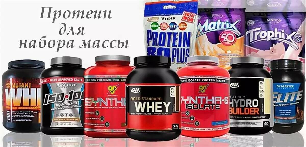 Спортивные питание для веса. Протеин для набора мышечной массы. Протеин масс. Протеин для набора мышечной массы для мужчин. Протеин для набора веса для мужчин.