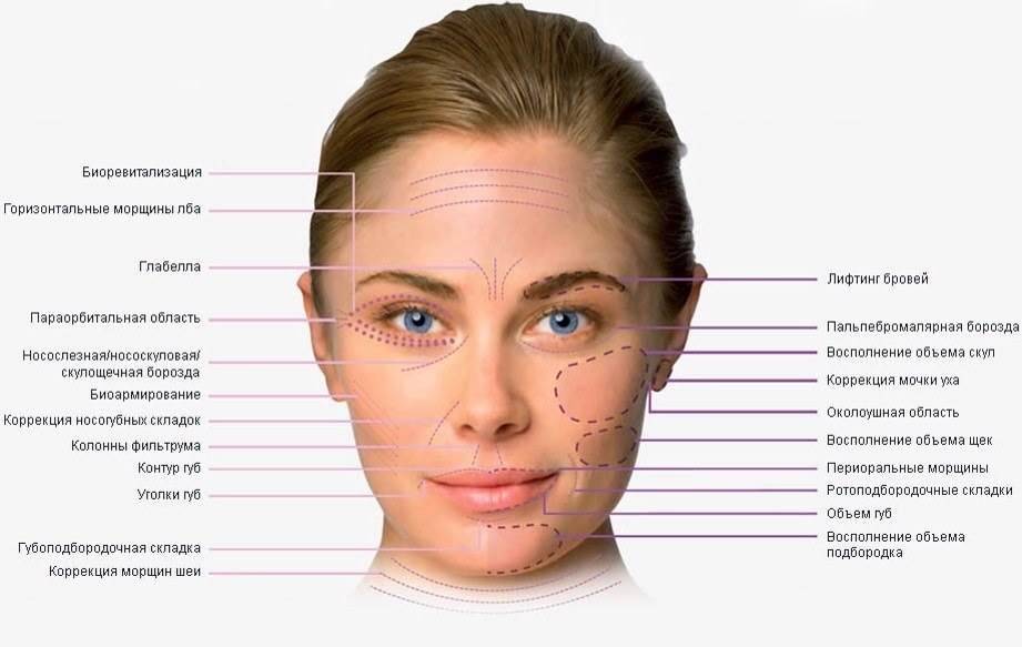Лицо название. Скулы это где. Анатомия периорбитальной области. Схема морщин на лице. Где находятся скулы у человека на лице фото.