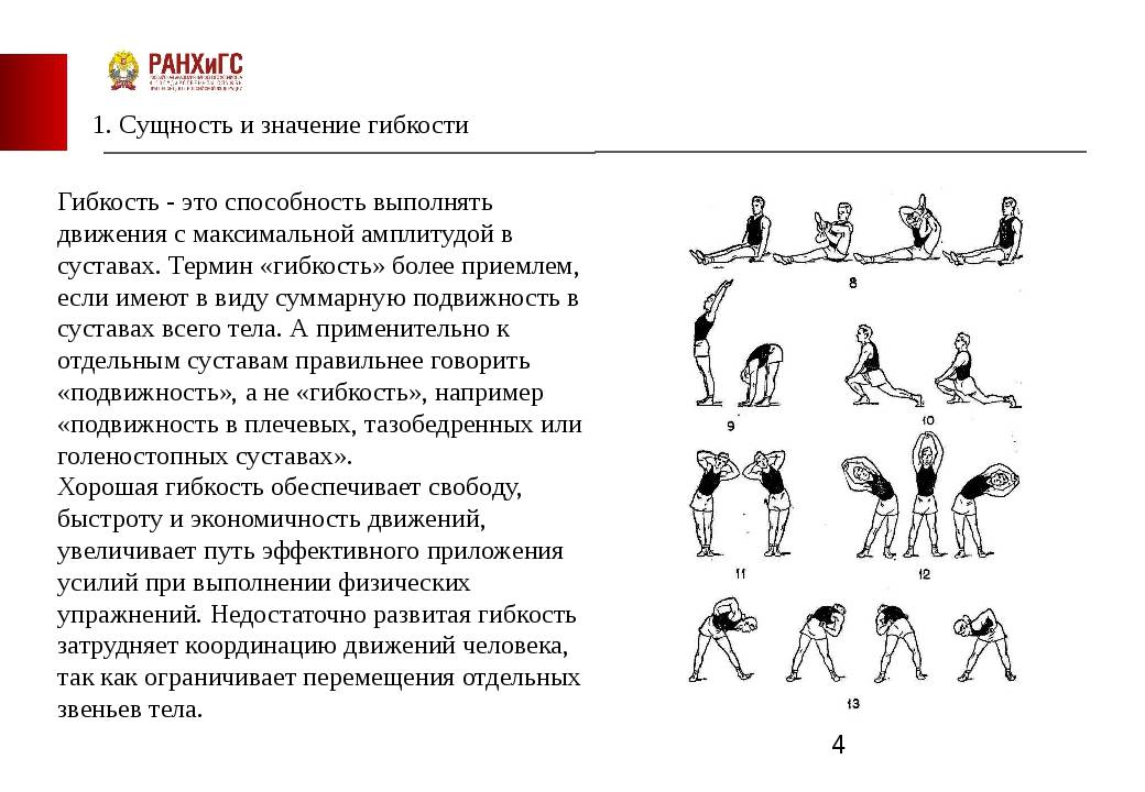 Комплекс упражнений на гибкость. Комплекс упражнений для развития гибкости и подвижности суставов. Комплекс физических упражнений на гибкость. Физические упражнения развивающие гибкость. Упражнения для развития быстроты движений.