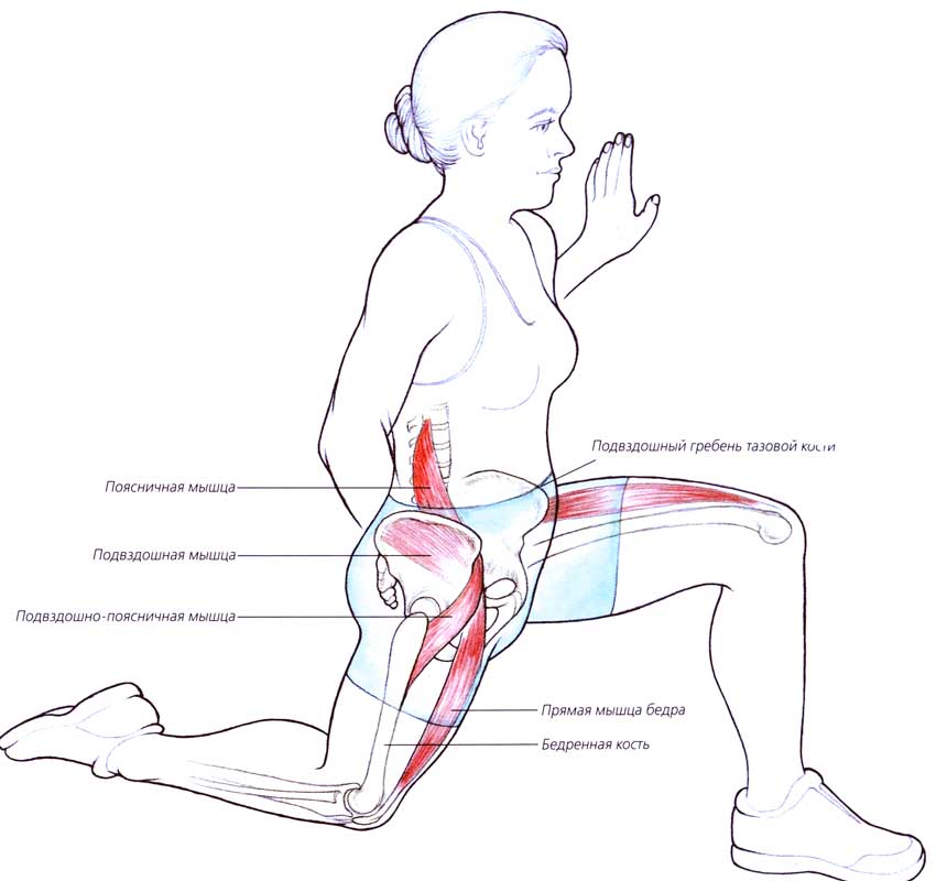 Болит поясница ягодица и нога. Растяжка подвздошно-поясничной мышцы упражнения. Подвздошно-поясничная мышца упражнения. Подвздошно-поясничная мышца анатомия. Подвздошно-поясничная мышца упражнения на растяжение.