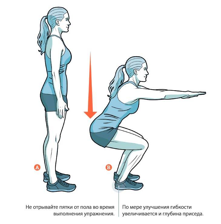 Как правильно приседать. Приседания плие техника. Мышцы задействованные при приседании. Классические приседания техника выполнения. Приседания для бедер техника выполнения.