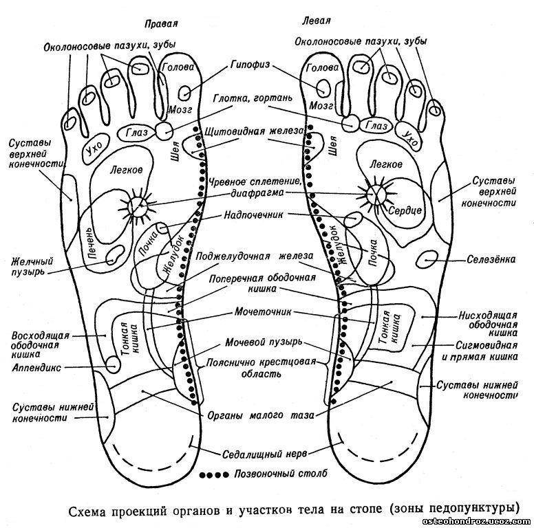 Линии подошвы. Акупунктурные точки на ноге человека схема. Акупунктурные точки на стопах ноги человека. Акупунктурные точки на ступне человека схема. Акупунктура на стопе точки органов.