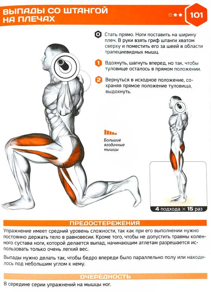Постановка ног в жиме ногами